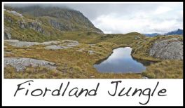 Fiordland Jungle (page 56) Issue 86 (click the pic for an enlarged view)